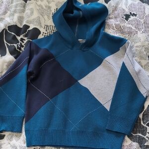 Colorblock Hooded Sweater
